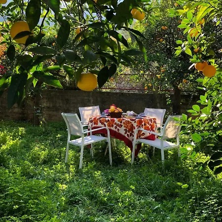 Anna's Beautiful House Apartament Leonídion