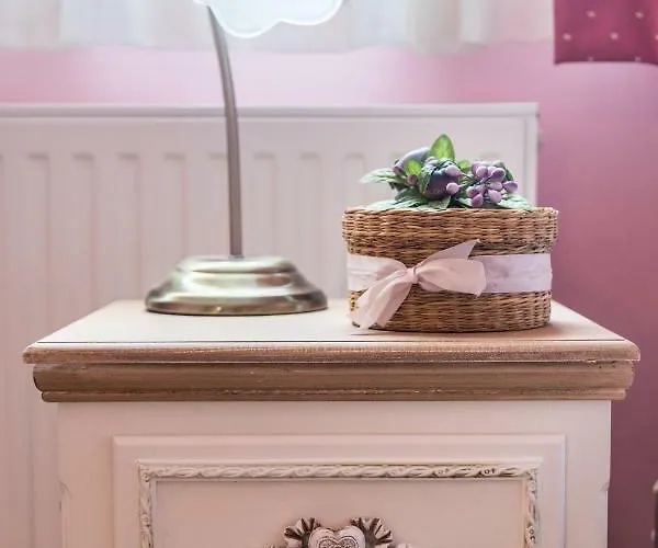 Anna's Beautiful House 公寓 利昂尼迪翁