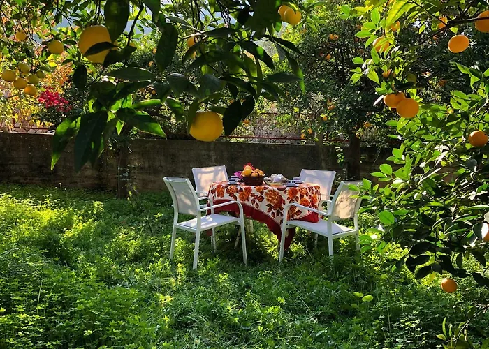 Anna's Beautiful House 公寓 利昂尼迪翁